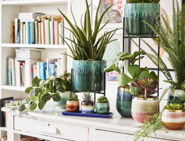 Pot Tanaman Dalam Ruangan